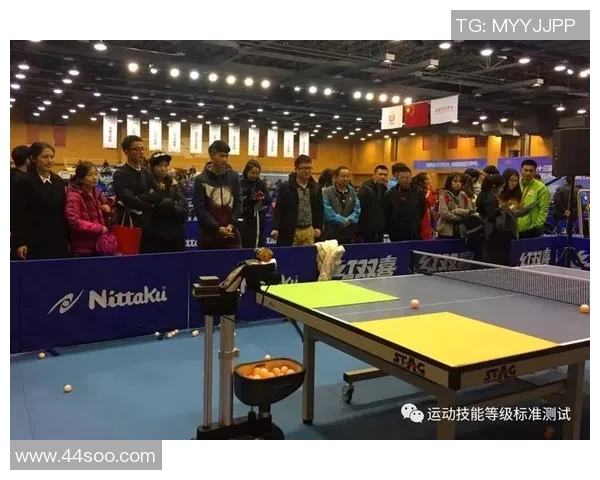 乒乓球技术创新与发展趋势分析：从基础技巧到高科技装备的应用探索