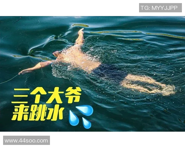 探秘跳水运动技术演变与世界冠军们背后不为人知的训练故事秘辛路