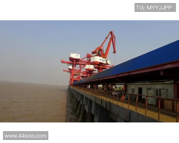 盐城大丰港战队崛起记:打造顶尖竞技实力 引领区域体育发展新潮流